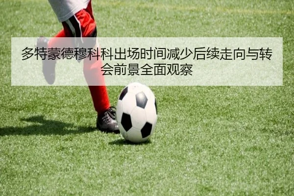 多特蒙德穆科科出场时间减少后续走向与转会前景全面观察 | cc7c7.app