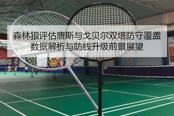 森林狼评估唐斯与戈贝尔双塔防守覆盖数据解析与防线升级前景展望 | cc7c7.app